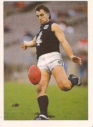 1990 Select AFL Stickers #40 Wayne Johnston Front